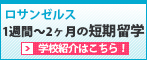 1週間～2ヶ月の短期留学