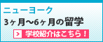 3ヶ月～6ヶ月の留学